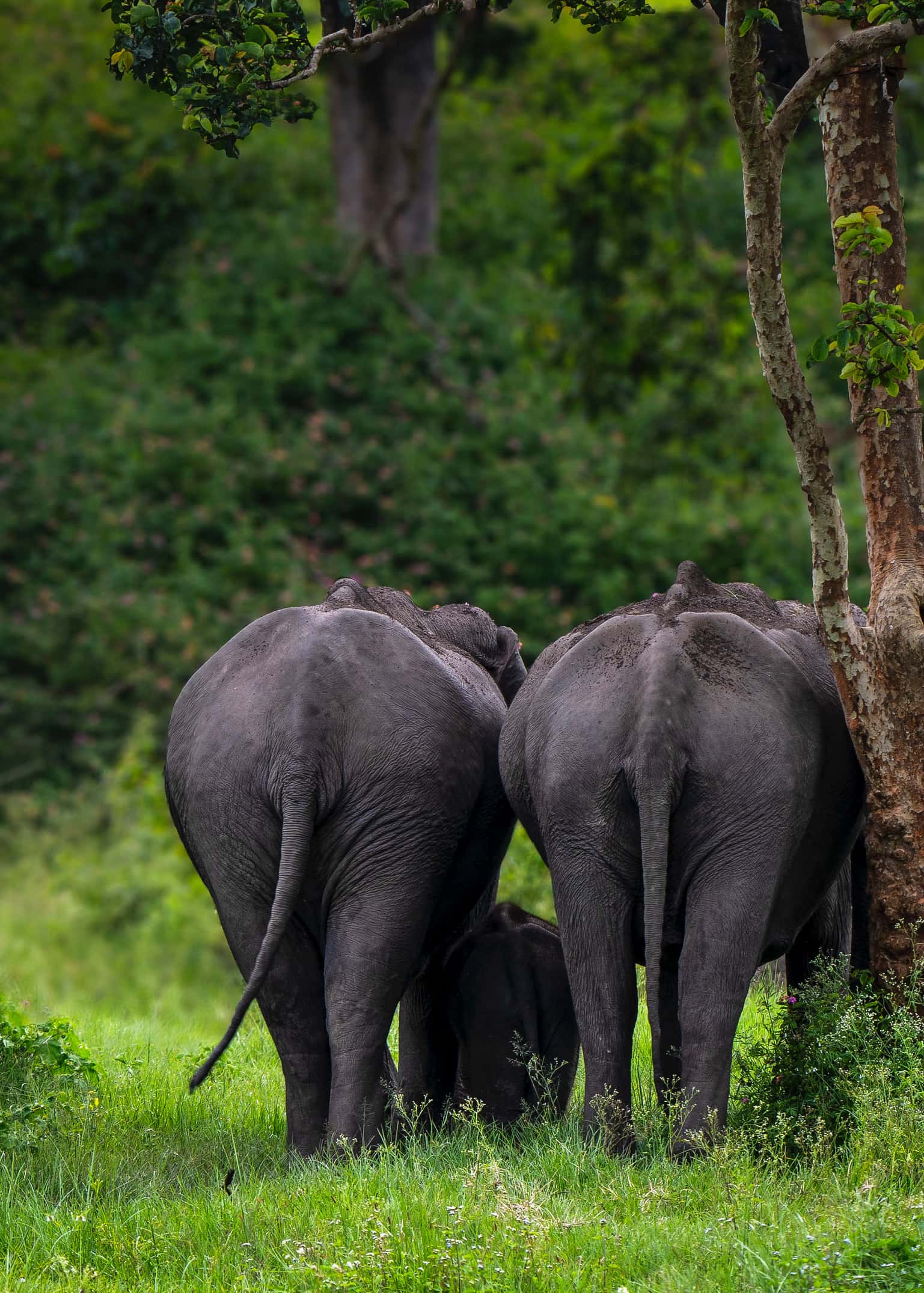 76F115E3-1D6E-4748-B7E8-7E0182A5BE8E