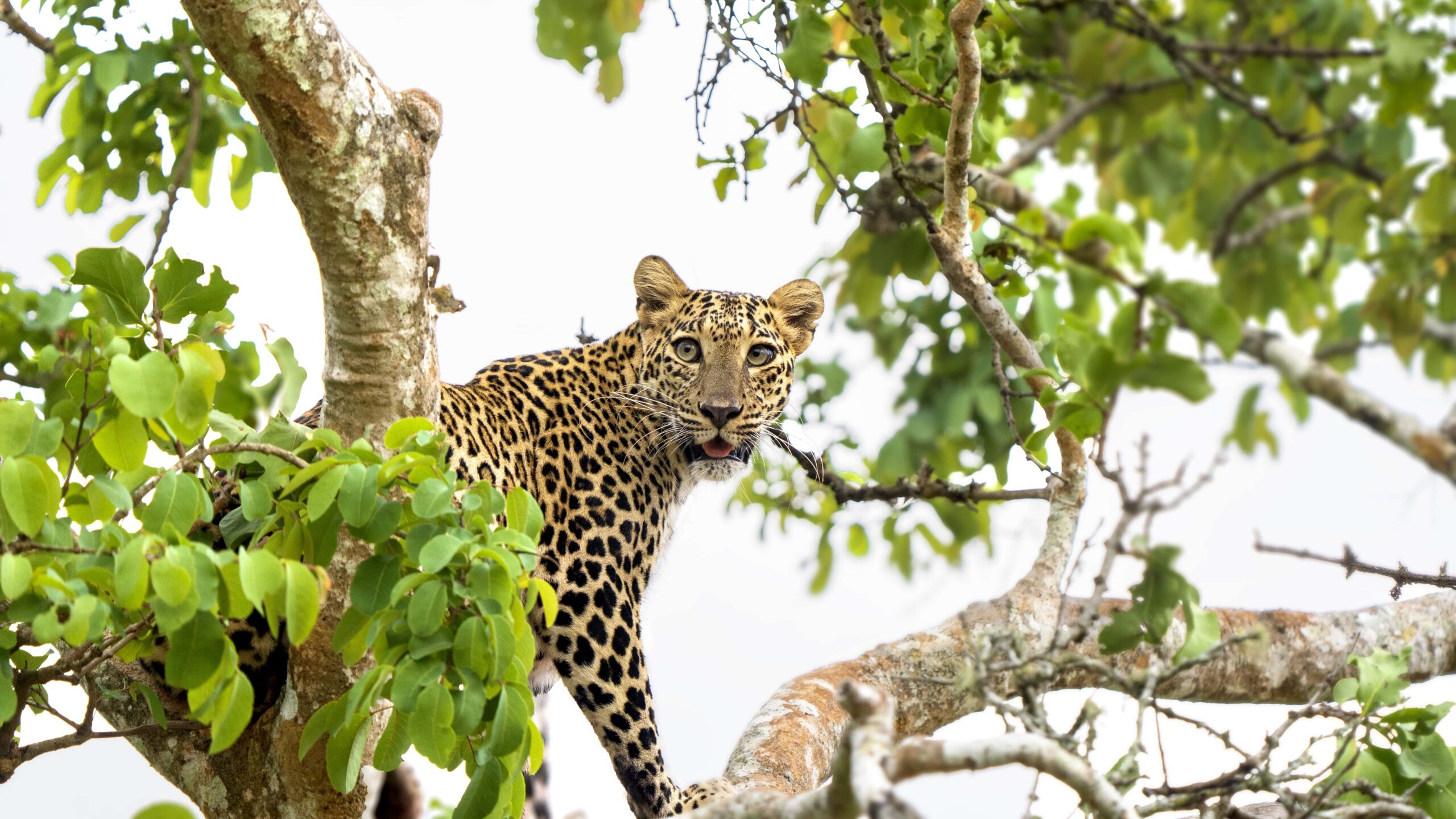 _DSC1060 copy 2.jpg 3