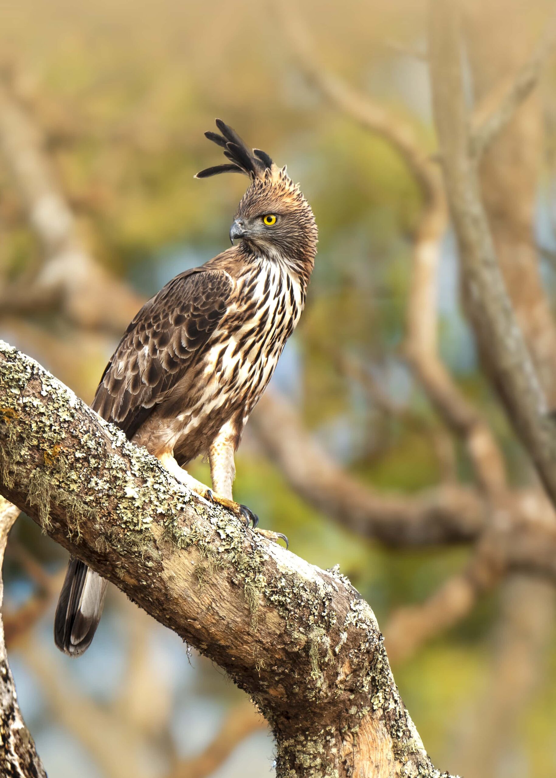 _DSC5000 copy 2.jpg 3